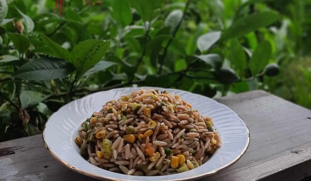 Arpa Şehriye Salatası